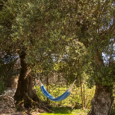 Vakantiehuis Vivenda Montanha - Relax In Nature *