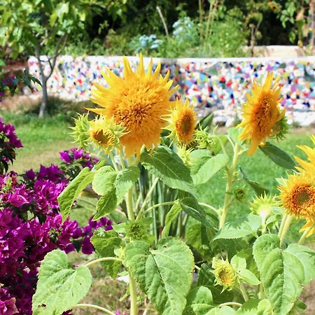 Vivenda Montanha - Relax In Nature Σπίτι διακοπών *