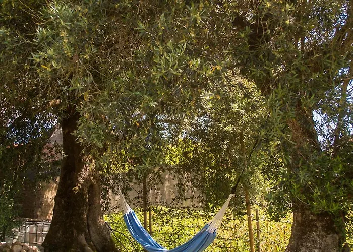 Casa de Férias Vivenda Montanha - Relax In Nature *